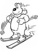 bear on skiis coloring page