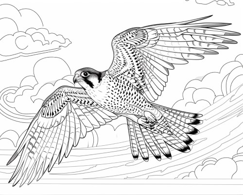 peregrine falcon flying coloring page