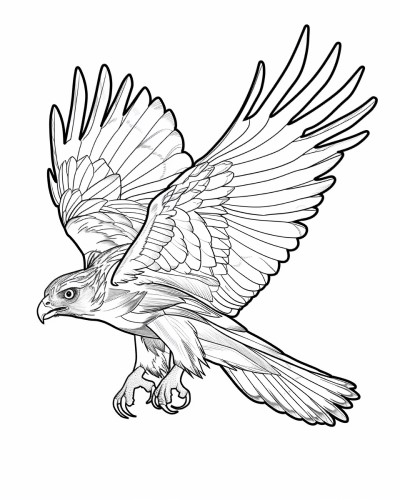 realistic coloring page of a hawk flying