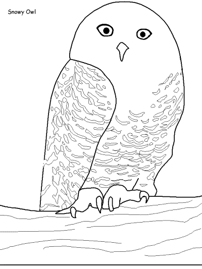 birds coloring page