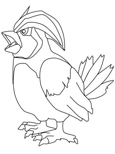 sparrow coloring page