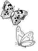Butterfly Coloring Pages - page 3