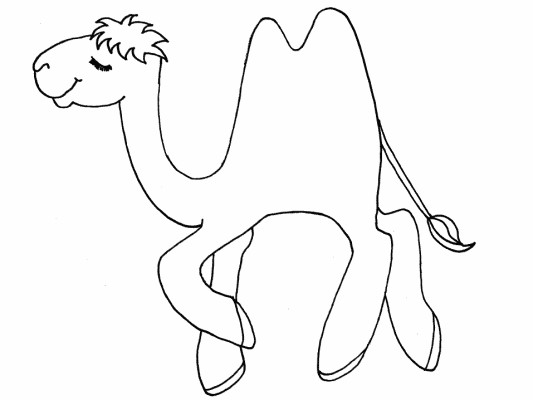 hand drawn camel coloring page