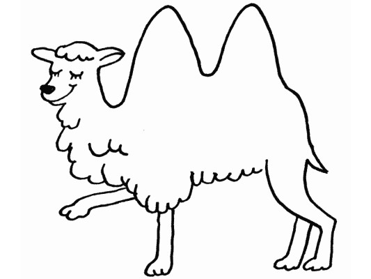 hand drawn coloring page of a camel with two humps