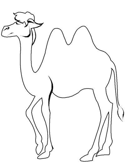 Bactrian camel coloring page