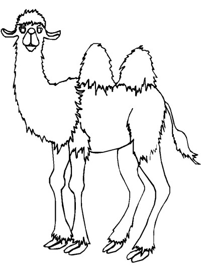 Bactrian camel coloring page