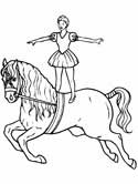 circus horse coloring page