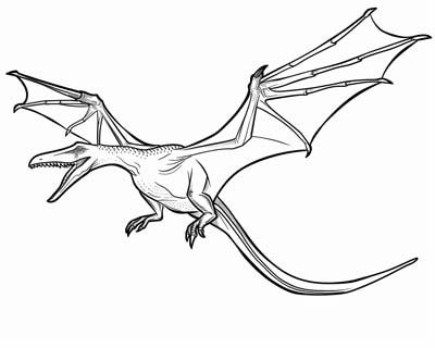 Pterodactyl coloring page