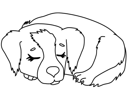 dogs and puppies coloring book pages