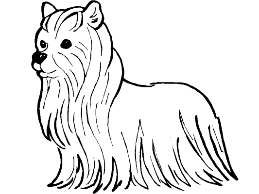 dogs and puppies coloring book pages