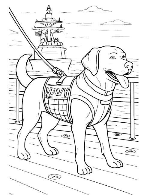 labrador retriever, naval military working dog coloring page