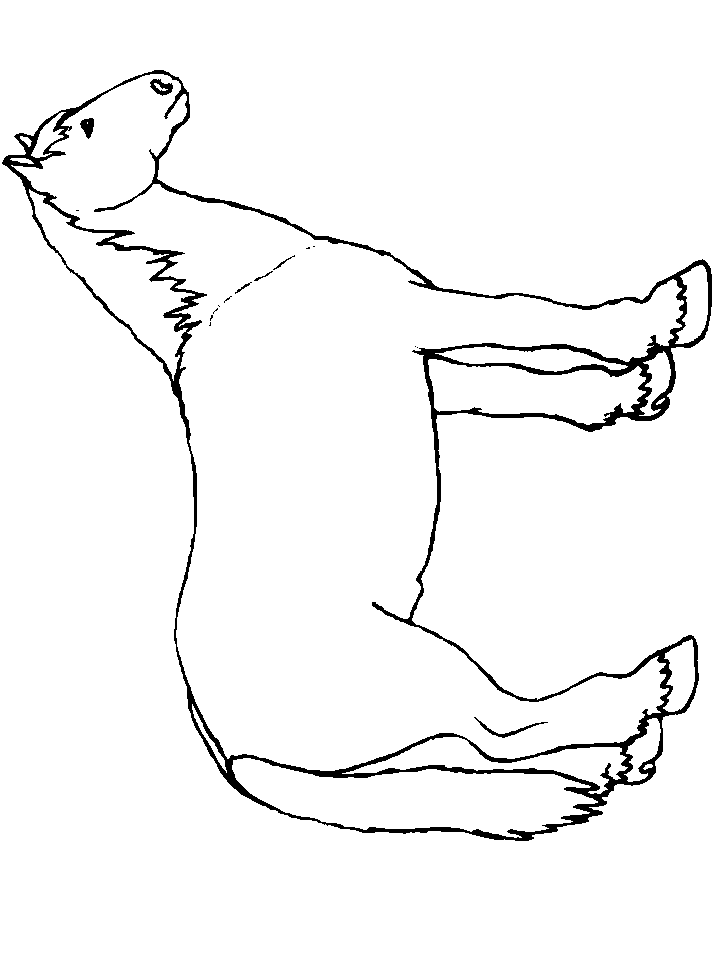 horse coloring book pages