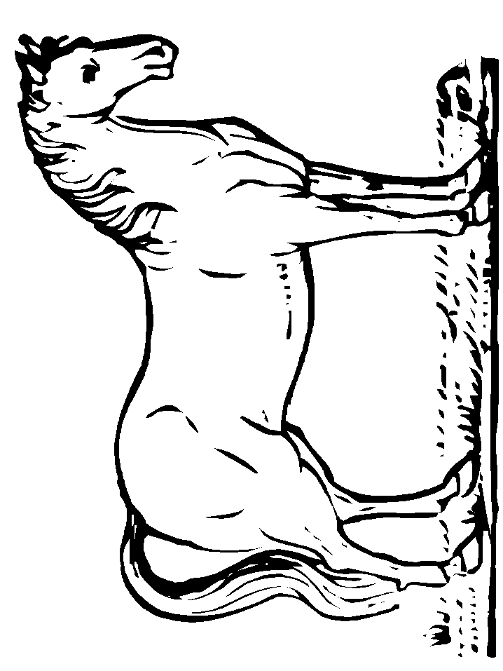 horse coloring book pages