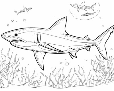 coloring page of a mako shark