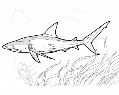 coloring page of a thresher shark