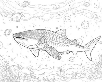 coloring page of a whale shark