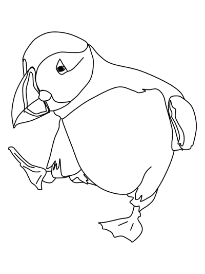 Dancing Puffin coloring page