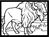 bison coloring pages