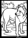 mammals of Russia - wolves coloring page