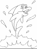 dolphin coloring page