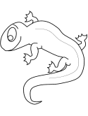 Newt coloring page