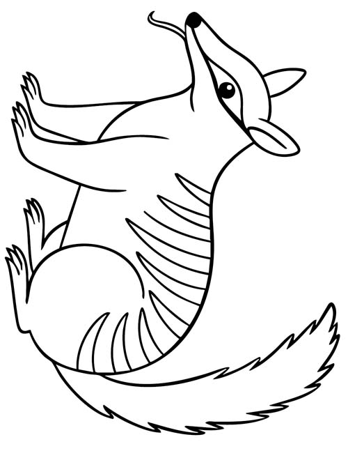 Numbat coloring page