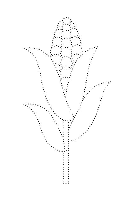 easy dotted outline coloring page of a stalk of corn