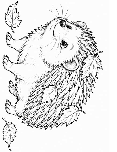 detailed, fine line coloring page of a hedgehog in autumn