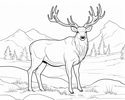 Red Deer Stag coloring page