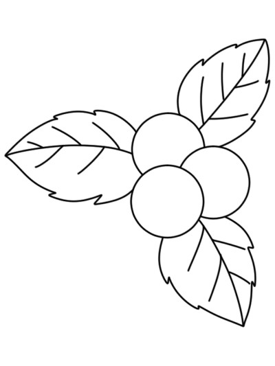 simple coloring page of three berries in between three leaves