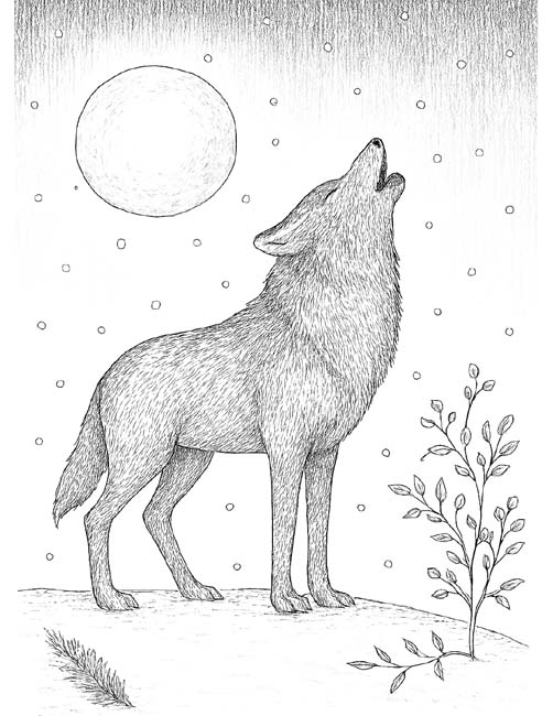 winter wolf coloring page for adults