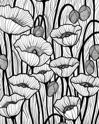 coloring page of poppies