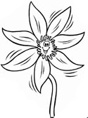 flowers coloring page