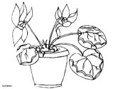 flowers coloring page