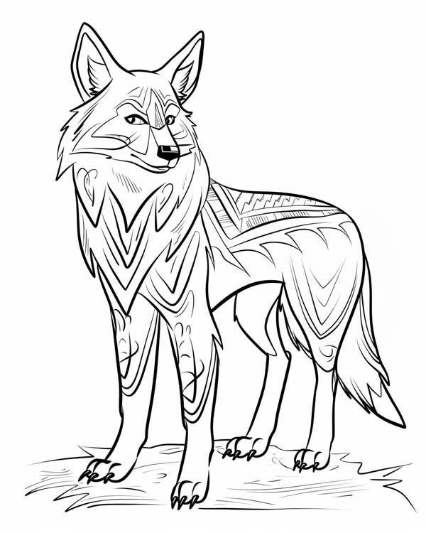 Native American folklore coloring page of wise coyote