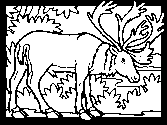 Rocky Mountain Animals Coloring Pages