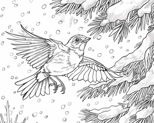 coloring page of the robin from The Lion, the Witch and the Wardrobe