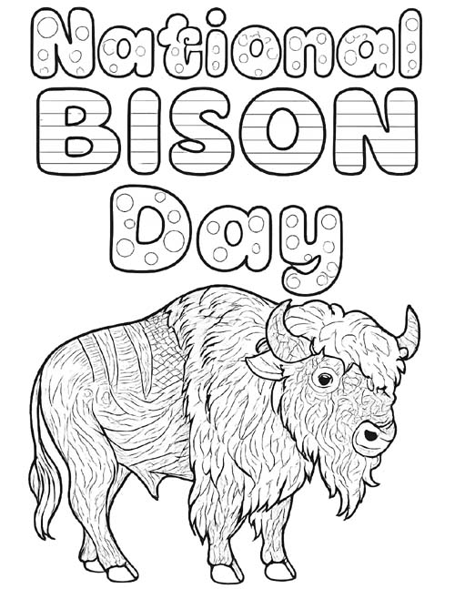 detailed word art coloring page for National Bison Day