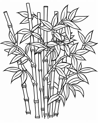 coloring page of bamboo