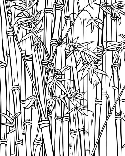 adult coloring page of bamboo
