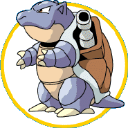 pokedex information