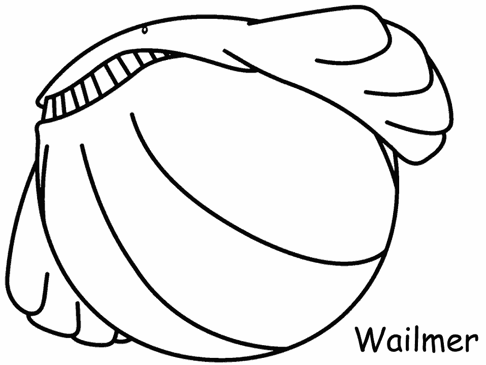 Pokemon Johto League Coloring Pages