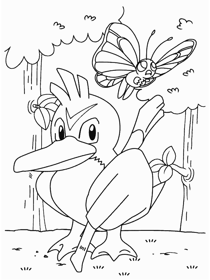 Coloring Pages