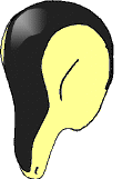 cyndaquil pokemon