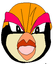 pidgeot pokemon craft