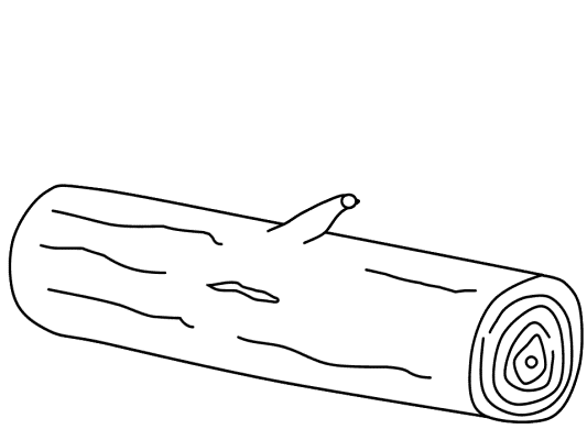 trees coloring book pages