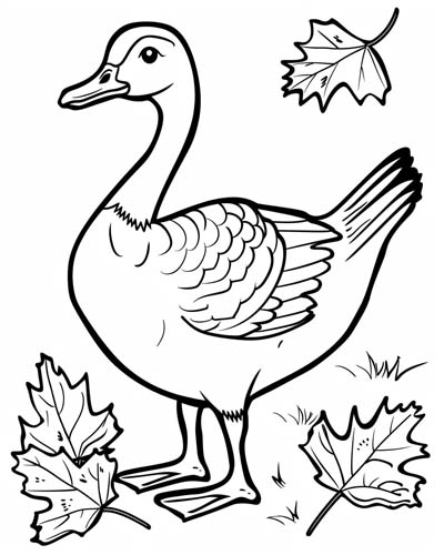 coloring page of a Canada goose with a maple leaf