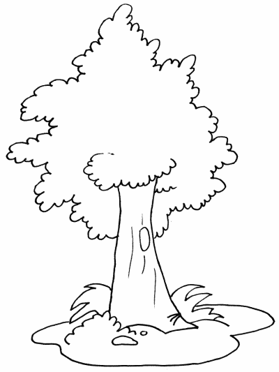 trees coloring book pages