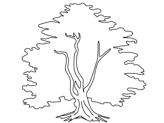 yew coloring book pages