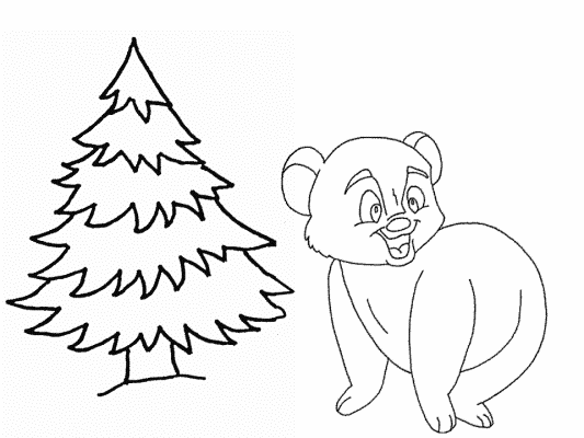 Bear and evergreen tree coloring page